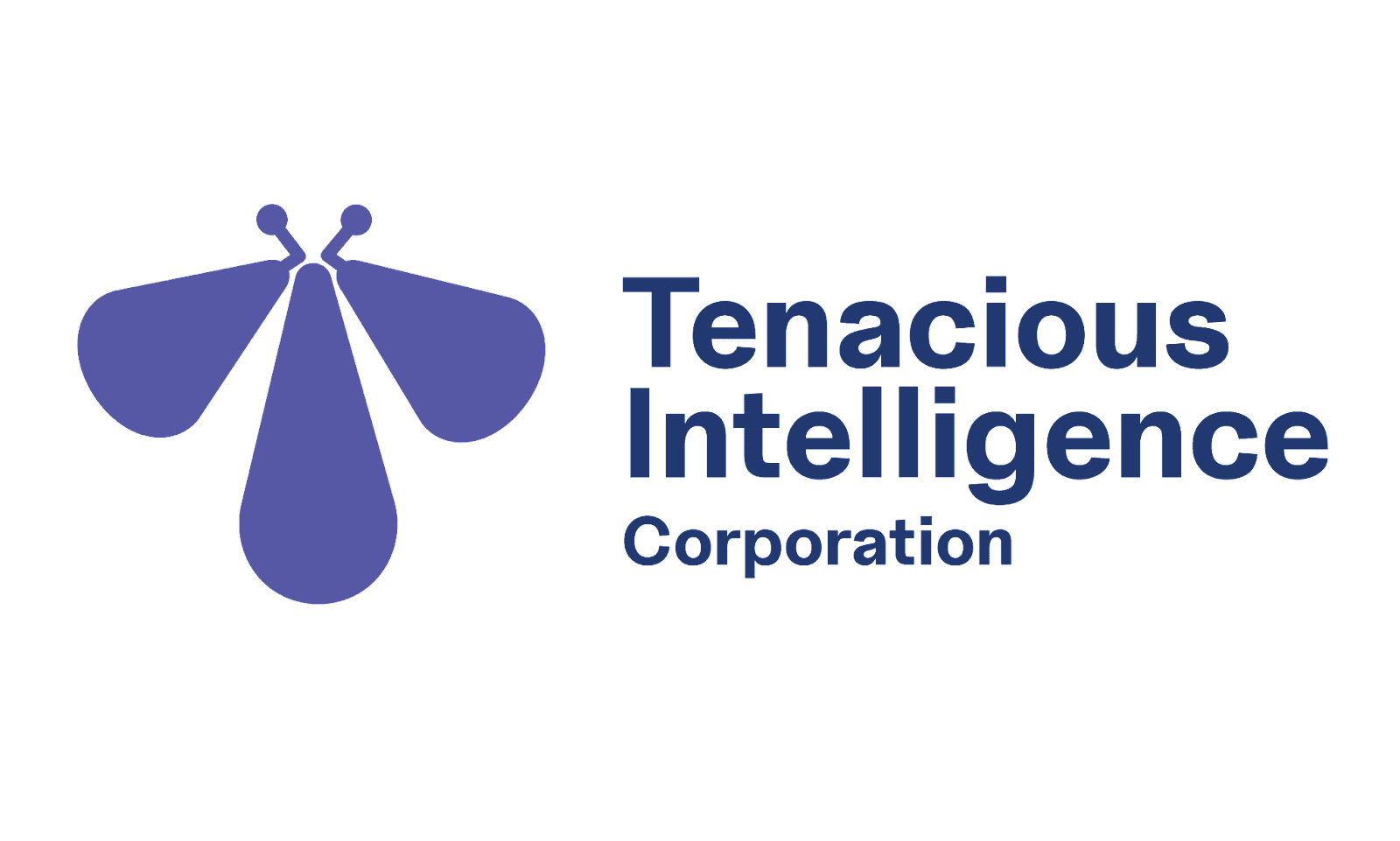 Tenacious Intelligence Corporation
