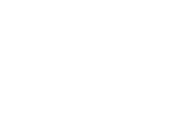 tenacious Logo